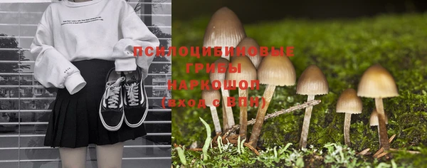 каннабис Аркадак