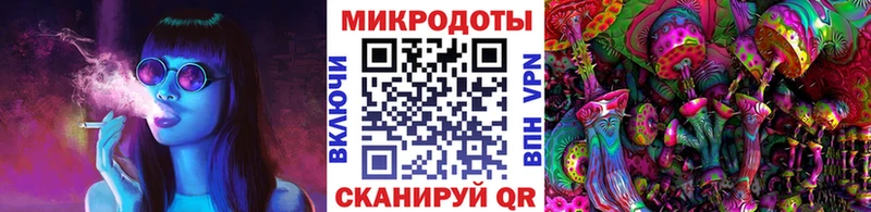 Галлюциногенные грибы Psilocybe площадка формула Новый Оскол